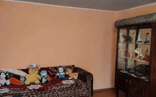 Casă de vânzare în sat Hilița, comuna Costuleni, la 22 km de Iași - Poză 4