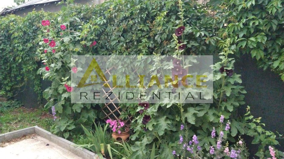 CASA BETON - 1500MP TEREN - 400MP UTILI - 370.000EUR - Poză 6