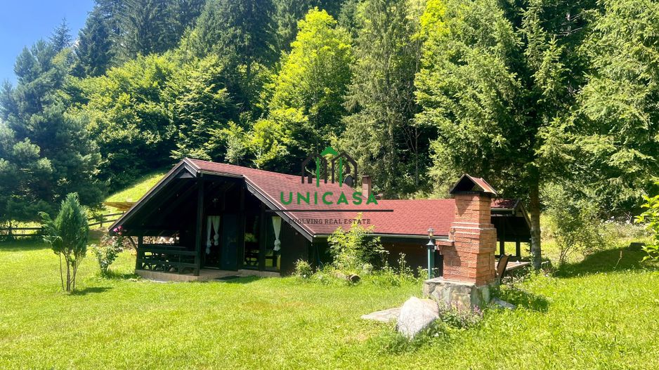 Proprietate deosebita de vanzare – Voinesița, Comuna Voineasa - Poză 2