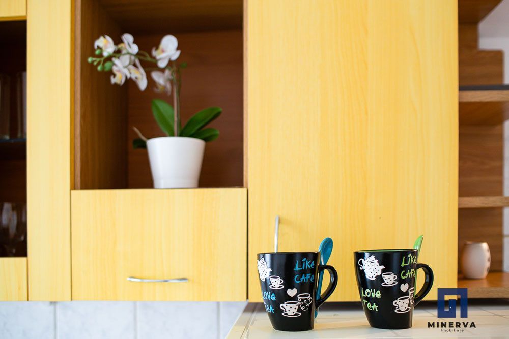 Apartament SPATIOS  cu o camera | Bd Dambovita | comision 0 - Poză 13