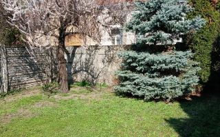 Vand casa ultracentrala - Poză 5