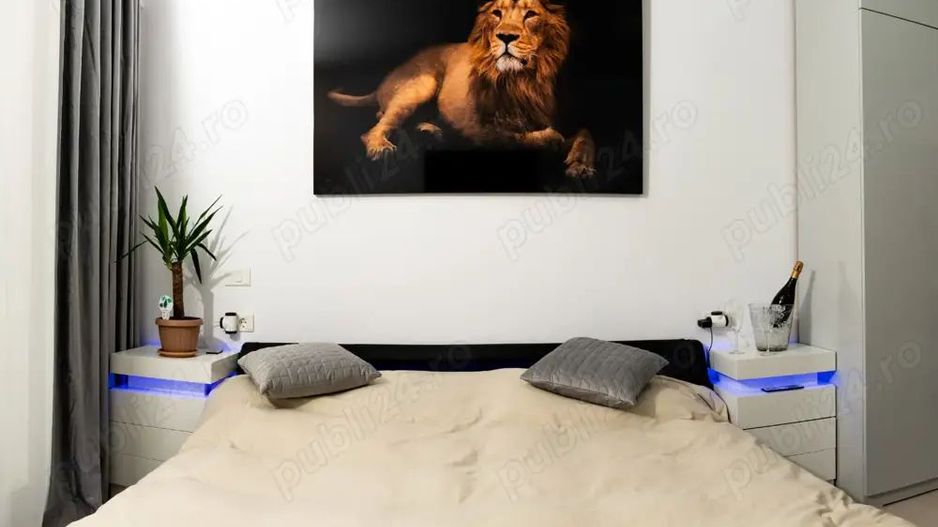 De inchiriat apartament cu 2 camere LUX , Parcul Carol - Poză 7