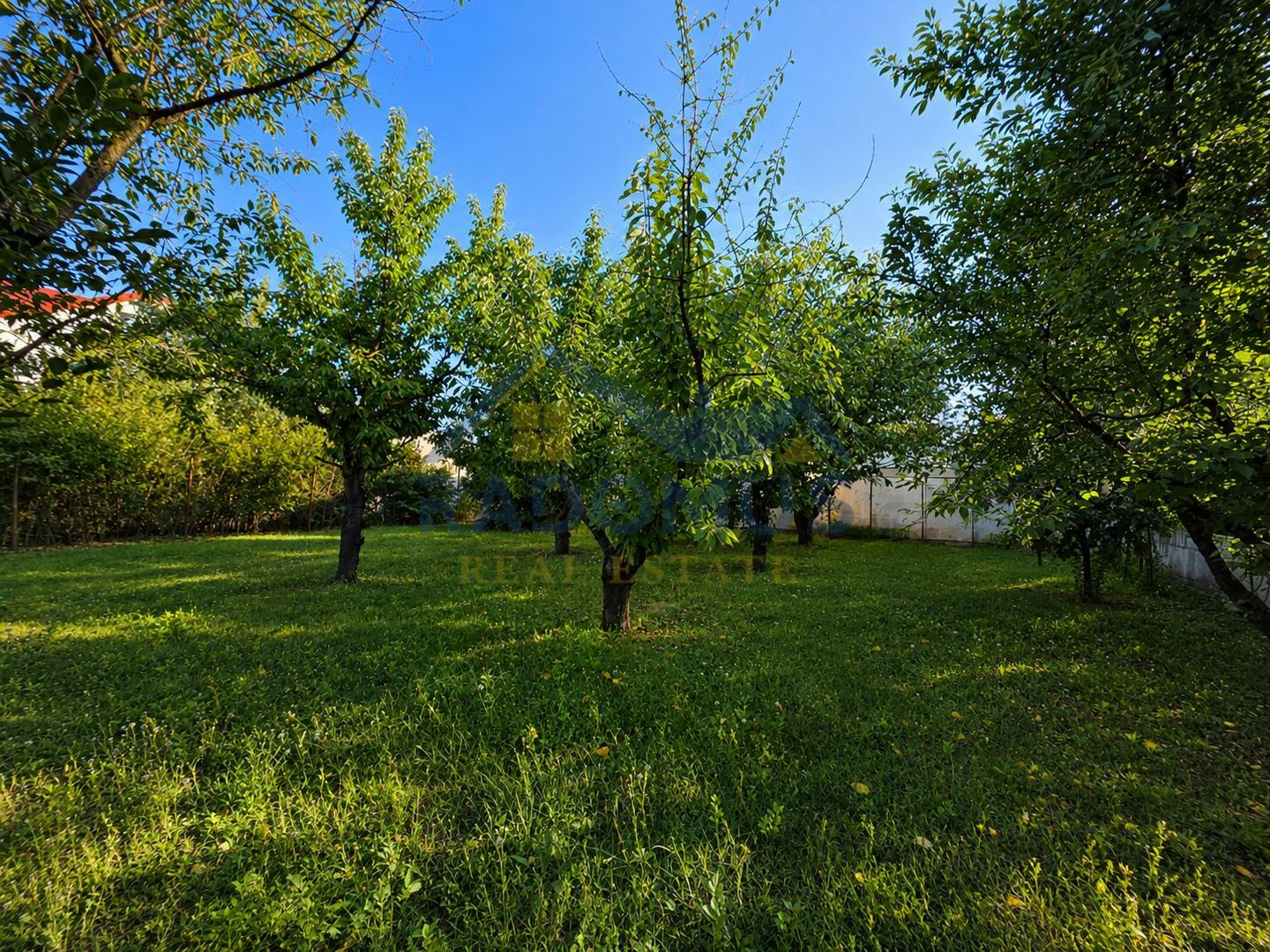 Duplex P+1 | Cartier Albert | Teren 2.613 mp | 450 S.U.T | Comision 0% - Poză 21