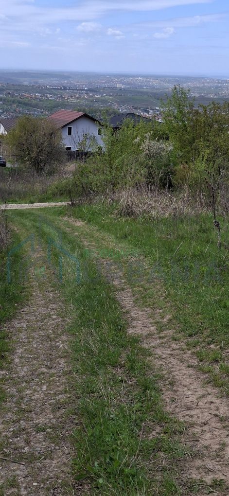 Teren extravilan de vanzare, Bucium, Iasi - Str. Boiangiu, vizavi de Carter Vile Teh Construct - Poză 3