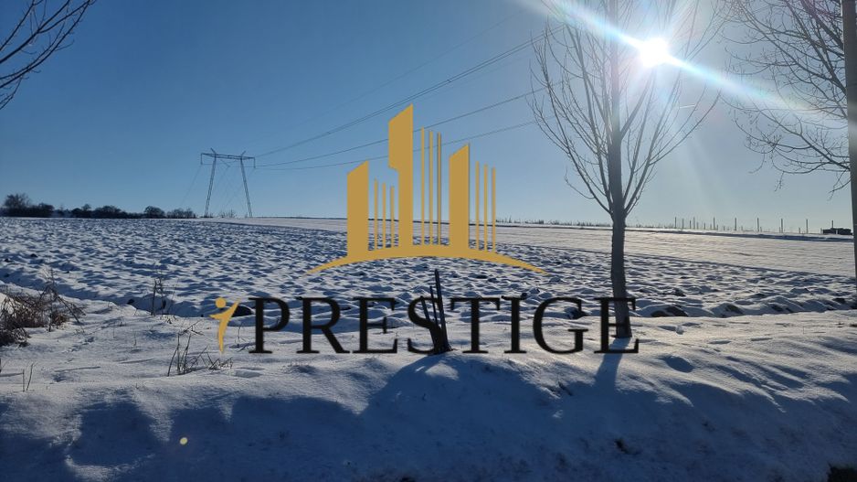 FĂRĂ COMISION | TEREN 6695 MP ÎN ȘURA MARE - Poză 6