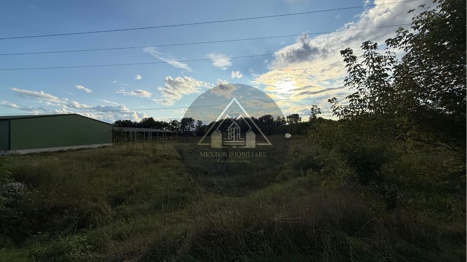 Teren extravilan Alma - Poză 2