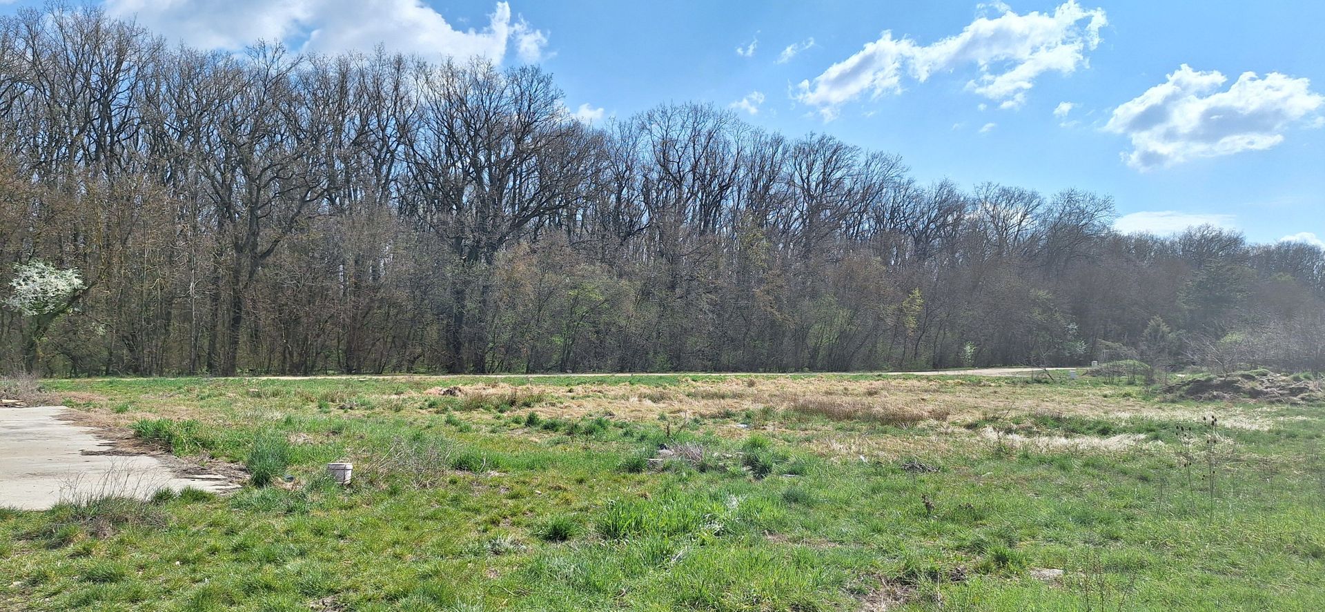 Teren duplex Dumbravita- Padurea Verde - Poză 2