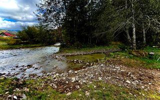 Teren de vanzare in Colibita , 500-6000 mp - Poză 5