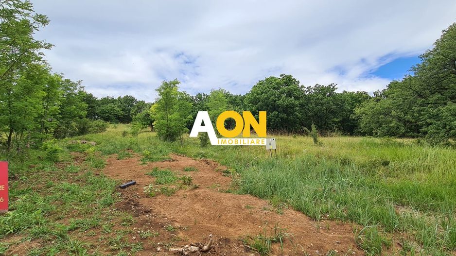 Teren de vanzare,  zona exclusivista,  2400MP - Poză 6