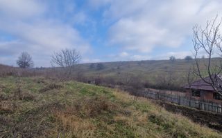 Teren intravilan | Livezile - Poză 1