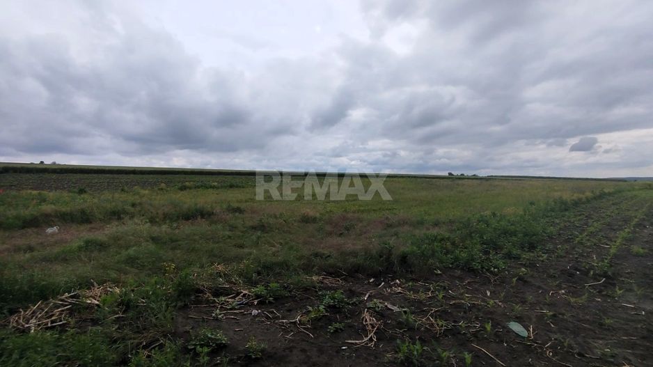Teren Agricol de Vânzare – 78 Ari în Comuna Răzeni | Investiție cu Potențial! - Poză 5