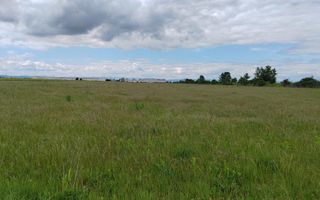 Teren extravilan, 114000 mp, Parc industrial West Park - Poză 9