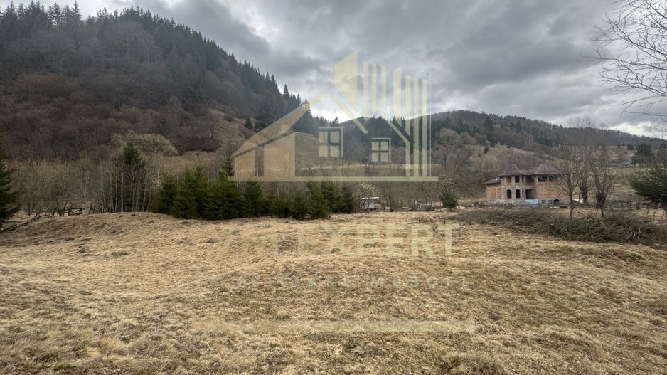 TEREN INTRAVILAN 500 MP SĂTIC- RUCĂR - Poză 10