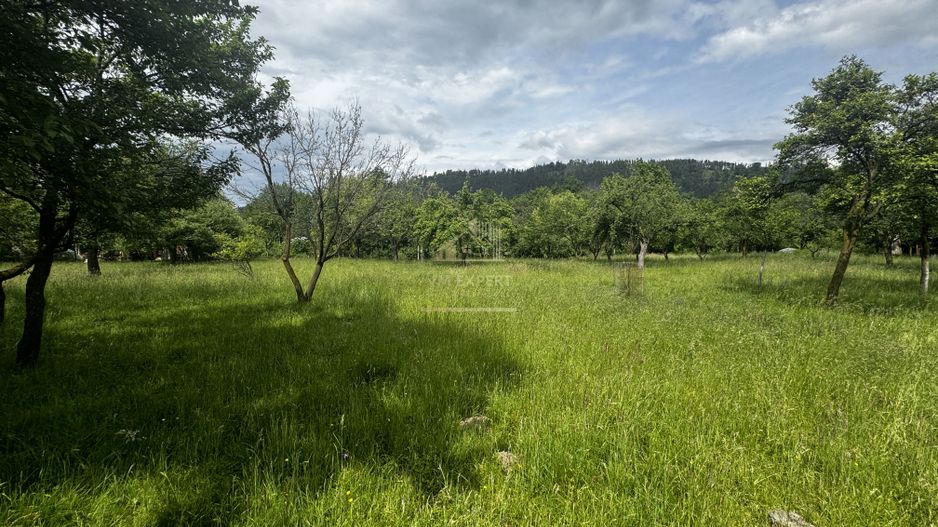 TEREN INTRAVILAN 4600 MP, VOINESTI, LERESTI, ARGEȘ - Poză 3