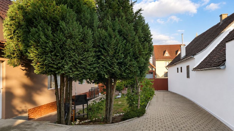 Casă cu 2 apartamente 5 camere 140 mp utili curte 289 mp in Turnișor - Poză 12