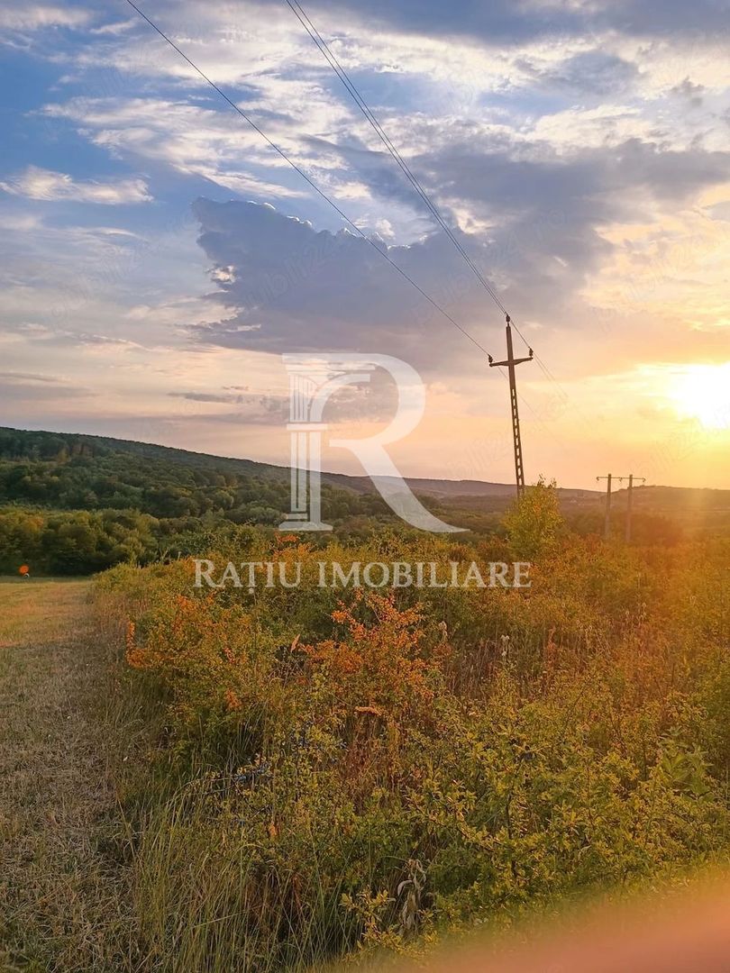 Teren de vanzare | Hidiselul de Sus | Bihor - Poză 1