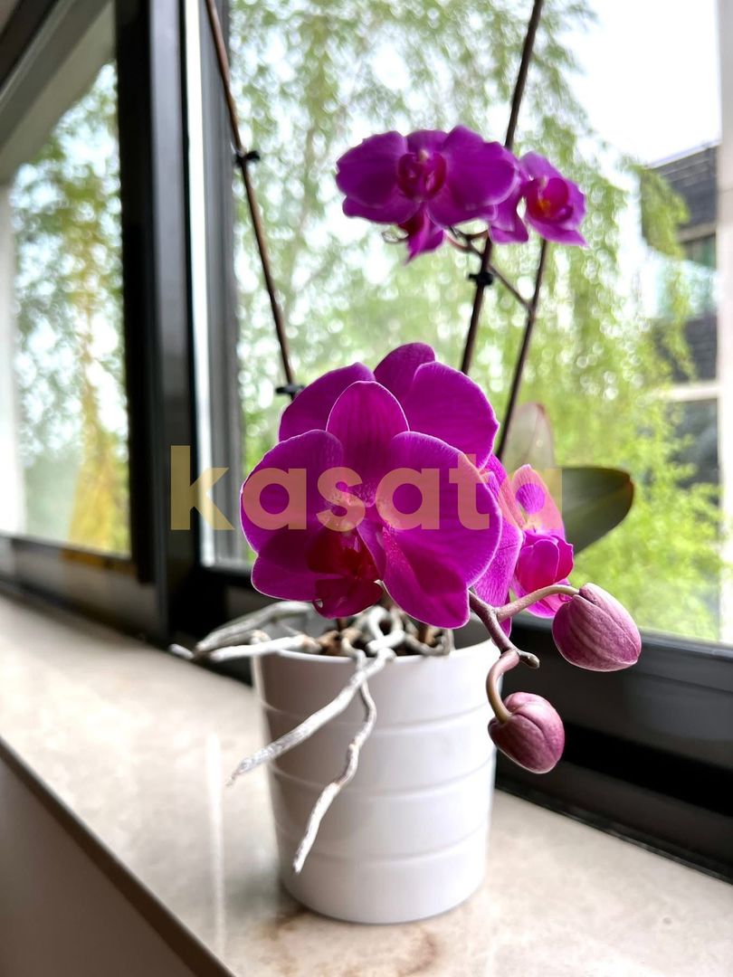 3 camere premium cu balcon generos | Natura Residence Băneasa - Poză 16