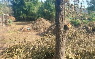 CASĂ DE VÂNZARE 2 CAMERE\ ZĂVOI\ JUD. CARAȘ-SEVERIN - Poză 7