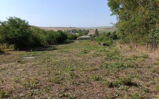 Casă renovată în stil tradițional, Romanesti, Iași – 3 camere, 50 mp utili, teren 3240 mp - Poză 13