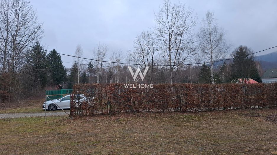 Teren deosebit pozitionat, cu livada, langa padure,  pe Valea Avrigului - Poză 8