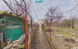 Apartament la curte comună în Aradul Nou - Poză 13