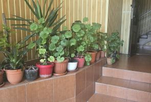 De vânzare apartament 2 camere decomandat | Zona 8 Mai - Poză 3
