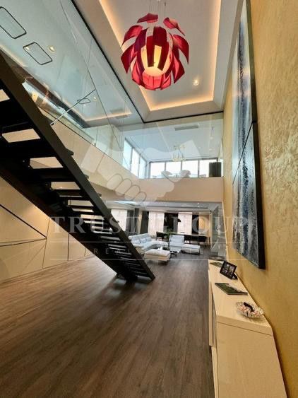 Penthouse 5 camere Herastrau | Terasa | Loc de parcare & Boxa - Poză 5
