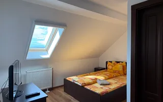Proprietate premium de închiriat | Sanmartin | Bihor - Poză 15