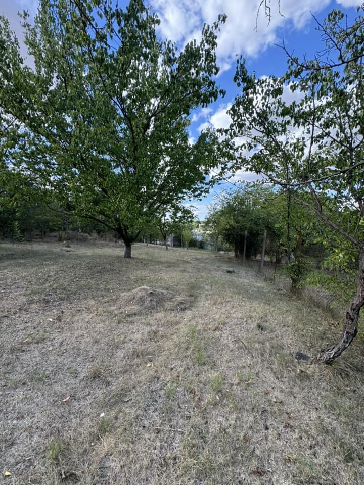 DE VANZARE Teren intravilan Comuna Daia,Jud Giurgiu - Poză 2