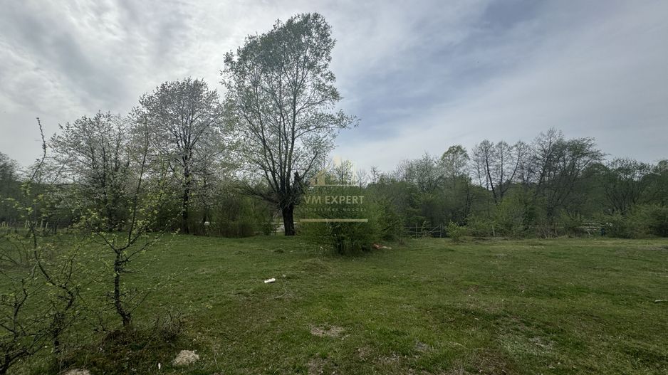 TEREN EXTRAVILAN 40000 MP, ALBESTI DE MUSCEL, CANDESTI - Poză 6