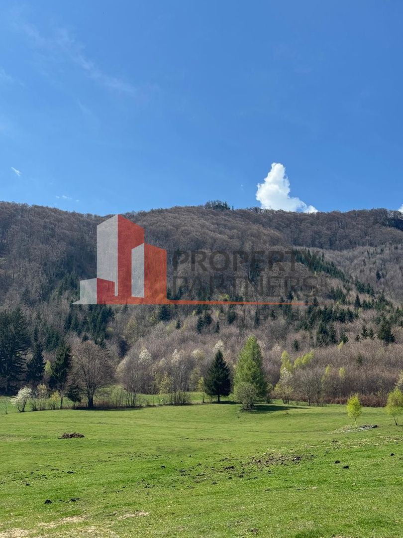 Terenuri Bran - Predelut  Priveliște către Bucegi și Postăvaru - Poză 12