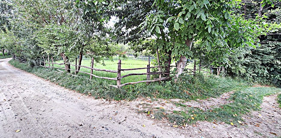 Bran Predelut teren intravilan de 2000mp, pret 27 euro/mp - Poză 5