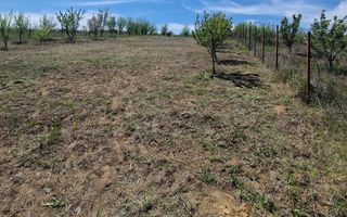 Teren intravilan de vanzare in zona Copou, langa Pensiunea Carolina, Iasi - Poză 5