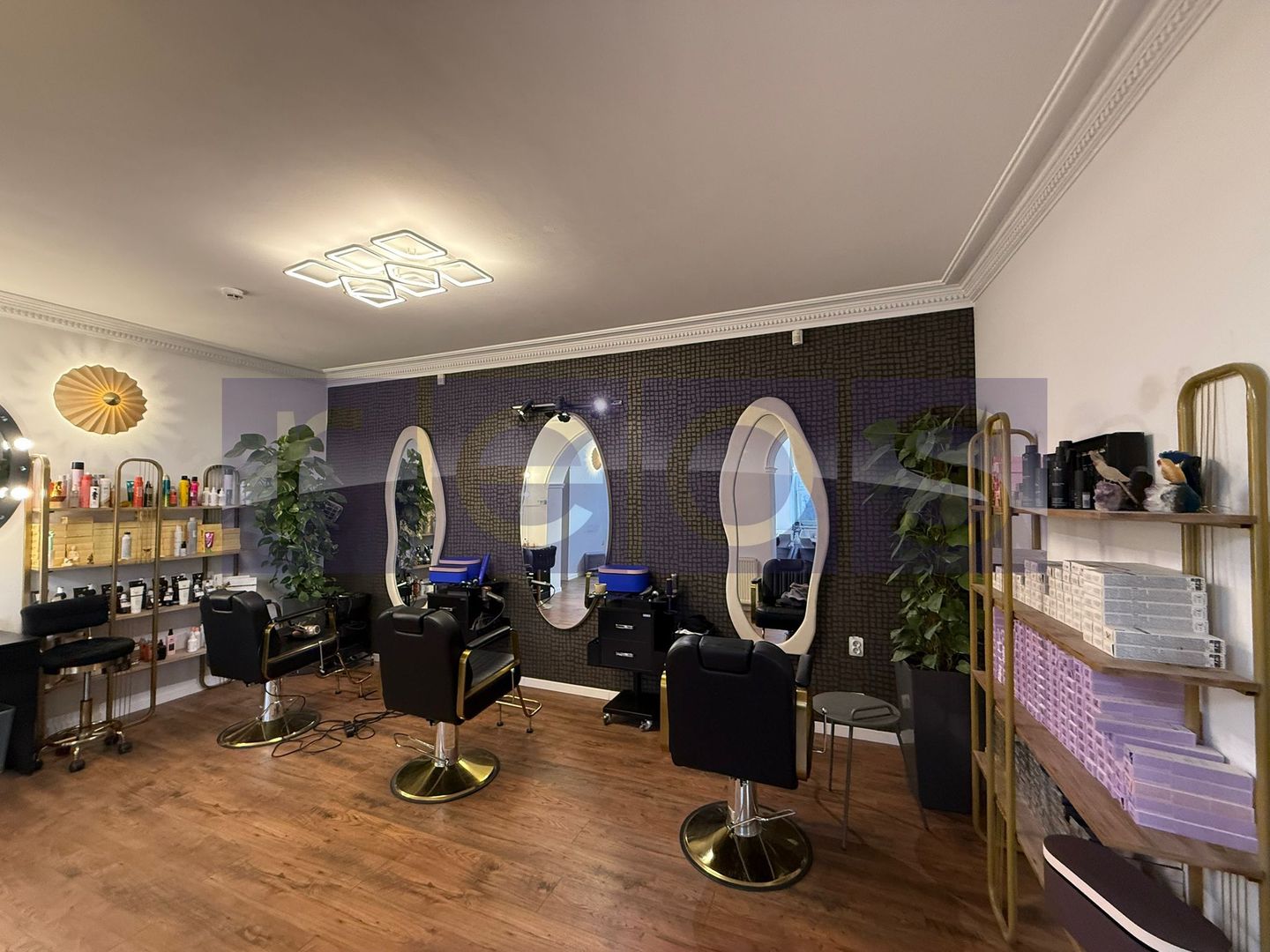 INCHIRIERE SPATIU SALON  DE LUX IN VILA | DOROBANTI | MOBILAT-UTILAT - Poză 3