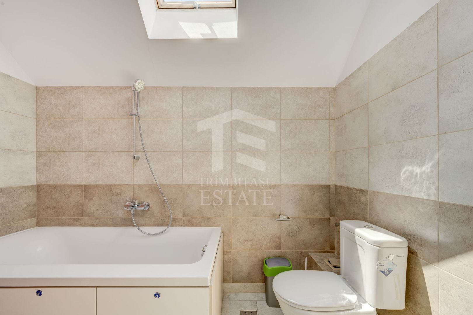 Vila Individuala Voluntari Pipera - Matei Millo - LOT 360 MP  P+1E+POD - Poză 18