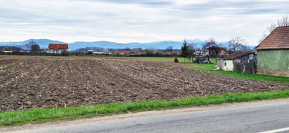 Teren intravilan pentru case in centrul Podu Oltului de 5600mp, 28 euro/mp - Poză 5