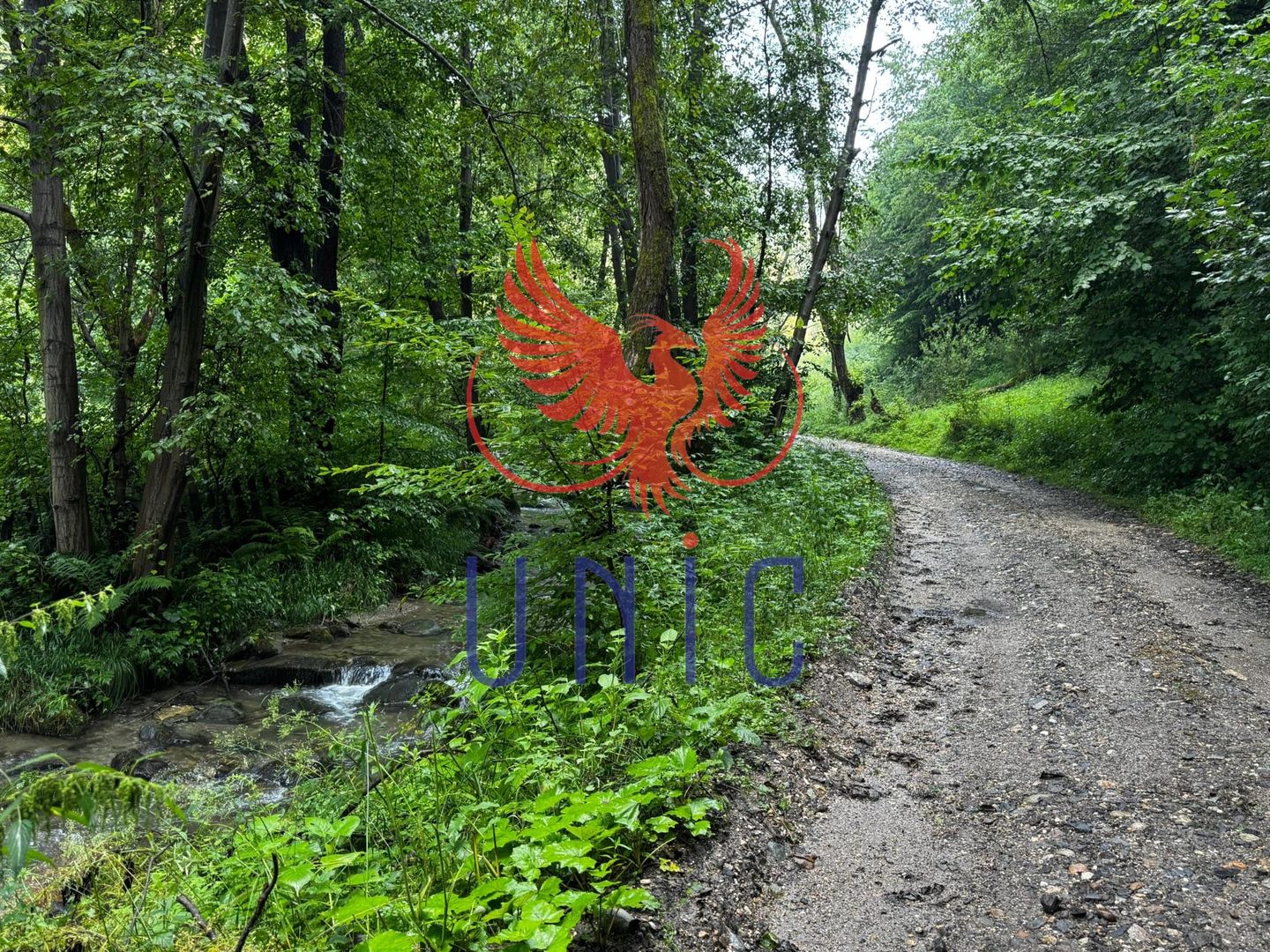 18000 mp de natura pura ,Lupeni, langa Straja - Poză 11