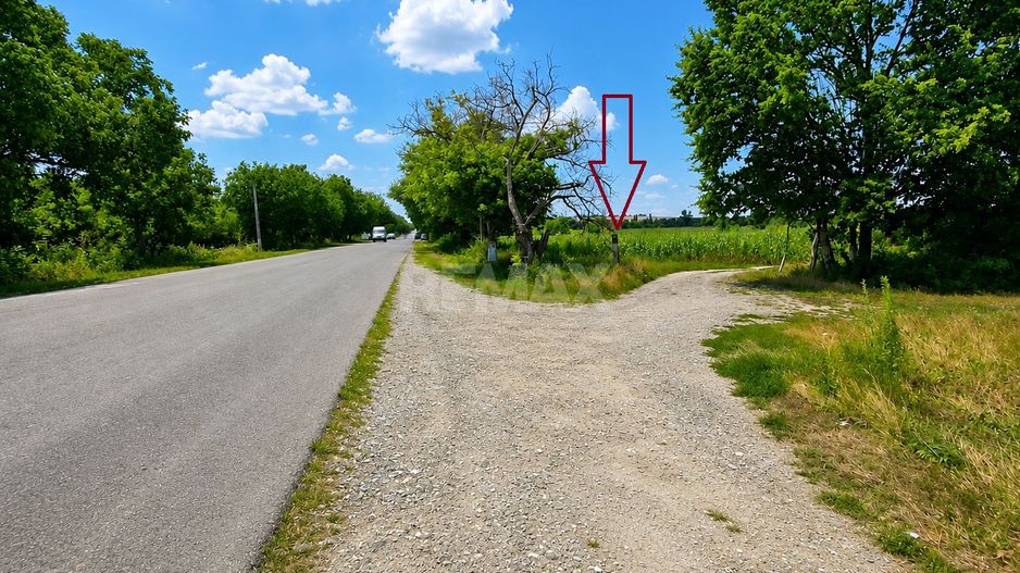 Teren pentru construcții – 24 ari | Prima linie | Chetrosu, Anenii Noi - Poză 4