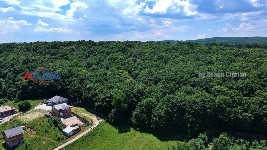 Vanzare teren 904 mp, Bascov, langa padure - Poză 7