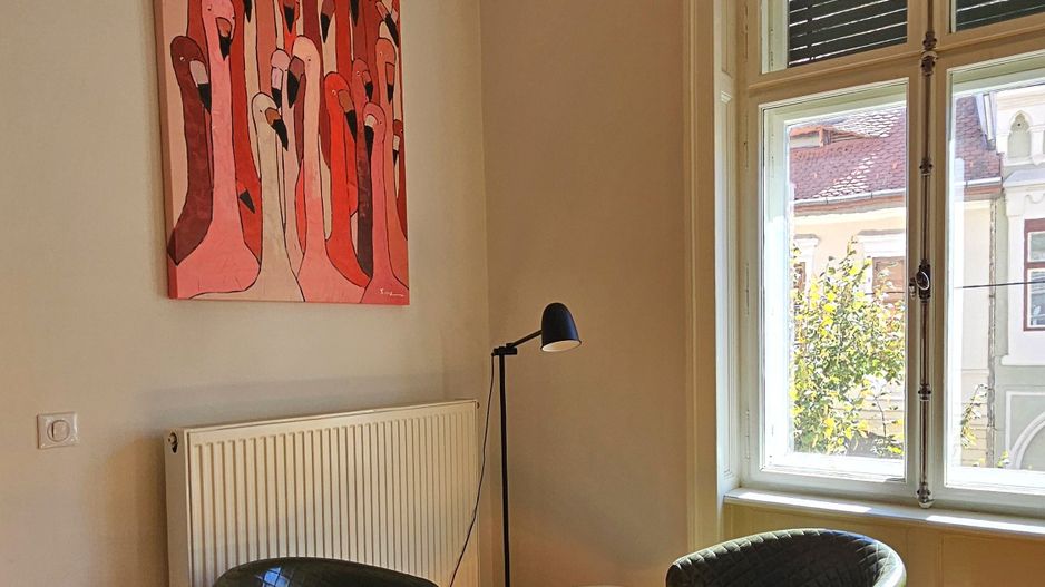 Apartament spectaculos de închiriat 4 camere 4 băi Centrul Istoric - Poză 20