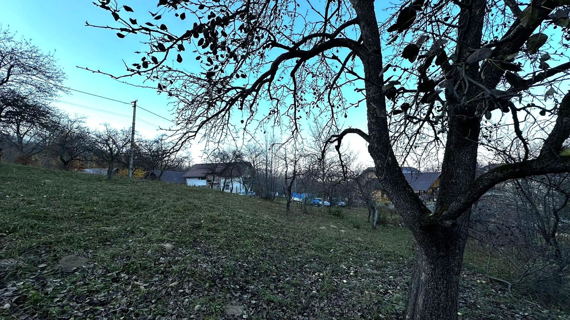 Teren Intravilan cu 2 Deschideri 4000mp Predelut-Bran | GOPO - Poză 6