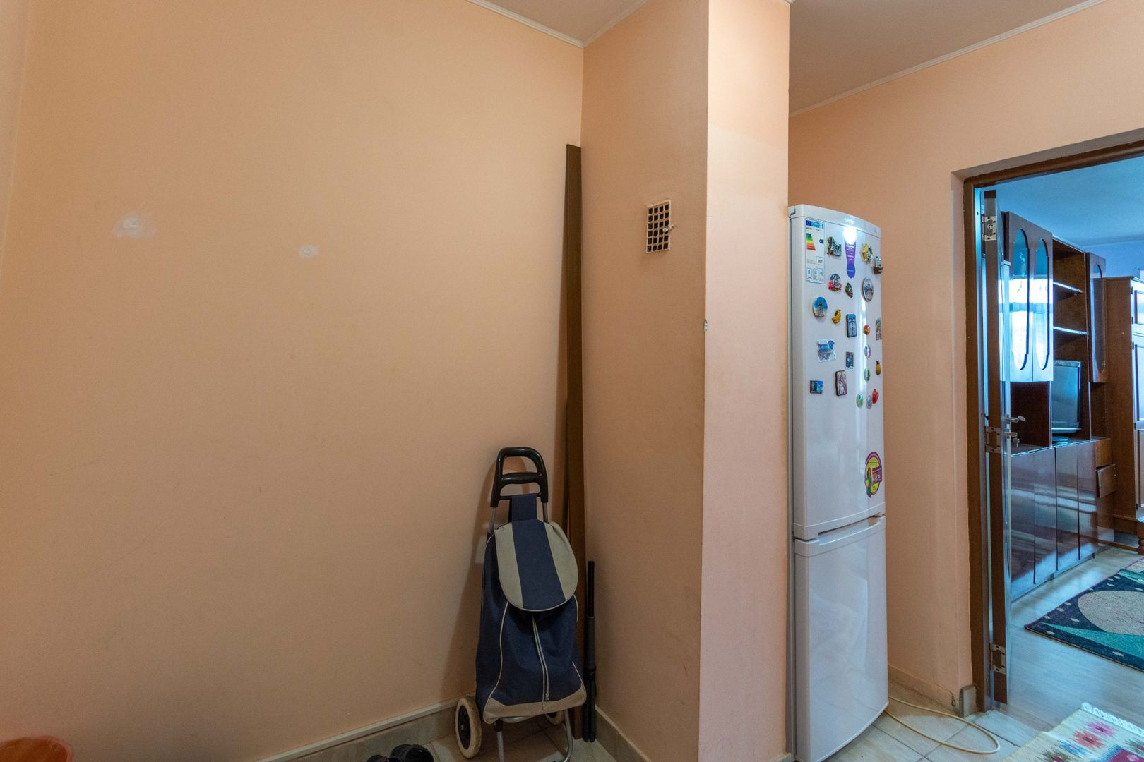 Costin Georgian Lucretiu Patrascanu, Garsoniera modesta, de inchiriat - Poză 5