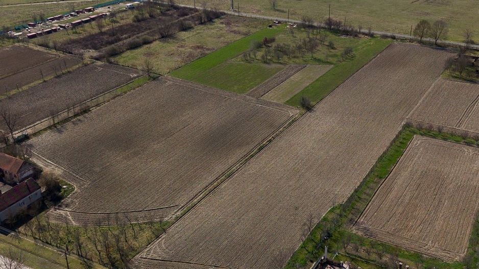 Loc de casă în Odvoș - Conop 3000mp - Poză 29