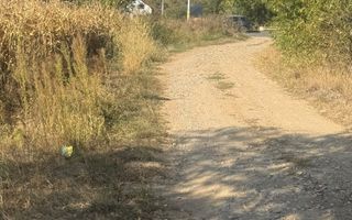 Teren 2500 de vanzare - Daia - Poză 3
