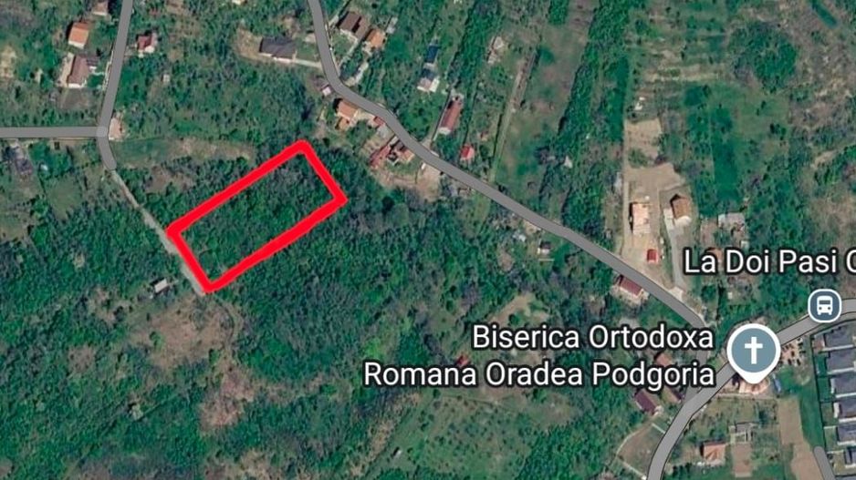 Teren intravilan Podgoria 7000mp - Poză 2