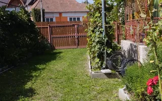 Casă cu teren 21,7 ari în Mitrești – posibilitate achiziție separat - Poză 18