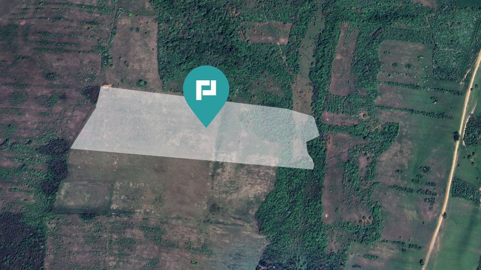 Teren arabil de 11,3 hectare în Bara, Timiș - Poză 3