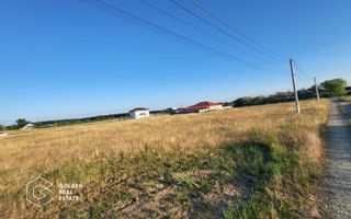 Terenuri  de vanzare in comuna Sag Timis - Poză 3