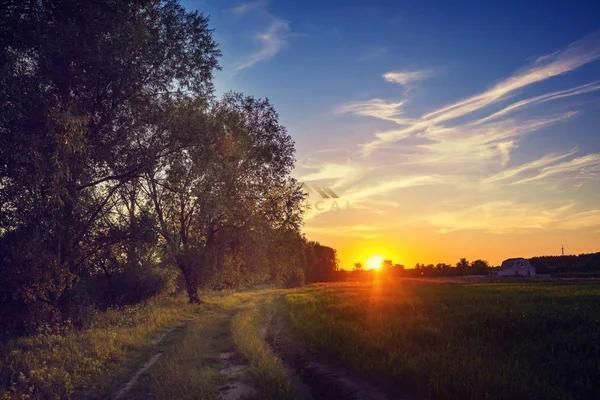 Loturi Teren De Vanzare Intravilane Berceeni Vidra -Ilfov - Poză 1