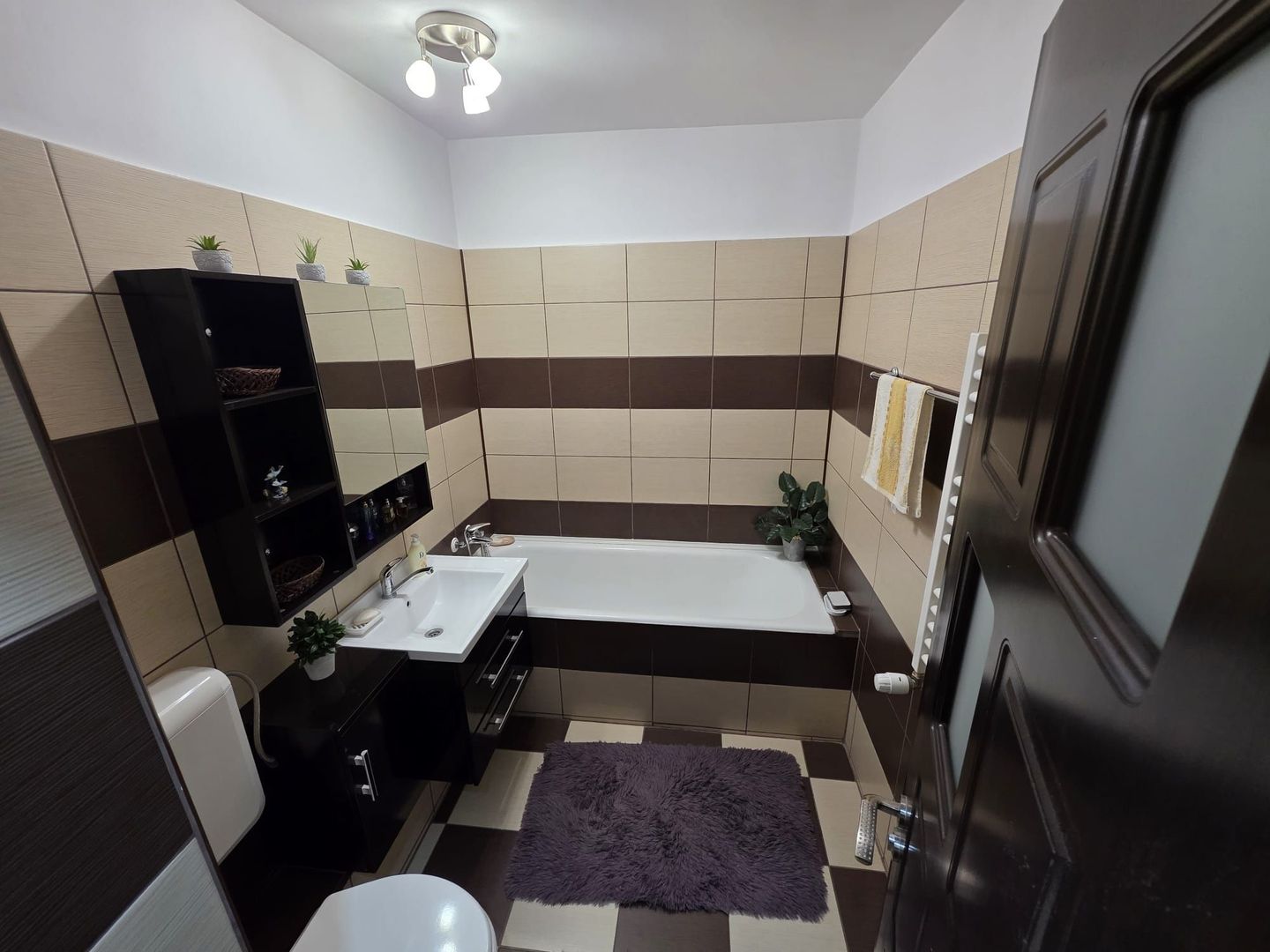 Apartament 2 camere de vanzare Veteranilor - Poză 5